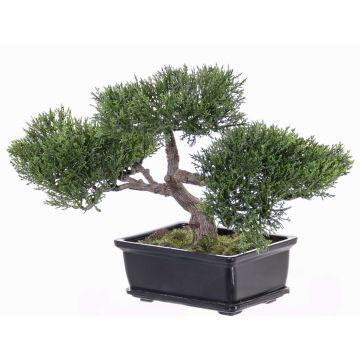 Umělý strom bonsai cedr ALESSA, s kořeny, v květinové míse, 23cm Umělý strom bonsai cedr ALESSA, s kořeny, v květinové míse, 23cm