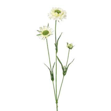 Dekorativní větvička Scabiosa ATLENTO, bílá, 65cm Dekorativní větvička Scabiosa ATLENTO, bílá, 65cm