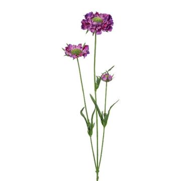 Dekorativní větvička Scabiosa ATLENTO, fialová, 65cm Dekorativní větvička Scabiosa ATLENTO, fialová, 65cm