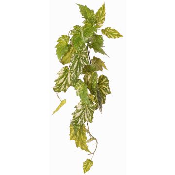 Umělá rostlina Begonia palmata OANFIR, tyčková, závěsná, zelená, 90cm Umělá rostlina Begonia palmata OANFIR, tyčková, závěsná, zelená, 90cm