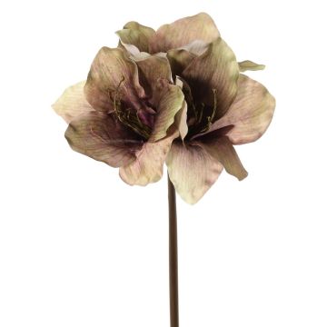 Umělý amarylis SARDUAN, zeleno-růžový, 65cm, Ø10cm