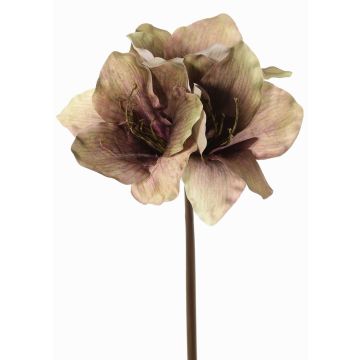 Umělý amarylis SARDUAN, zeleno-růžový, 65cm, Ø10cm