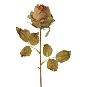 Umělá růže GROLK, suchý vzhled, zelenohnědá, 45cm, Ø6cm Umělá růže GROLK, suchý vzhled, zelenohnědá, 45cm, Ø6cm