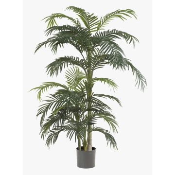 Umělá palma areca CAMYRA, 170cm