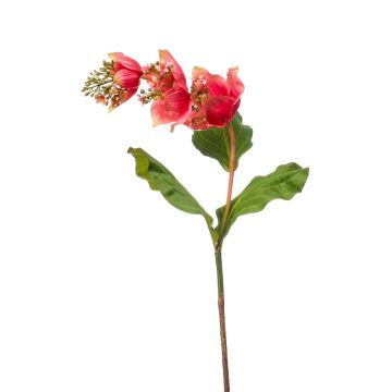 Umělá květina Medinilla NIVARD, korálová, 110cm