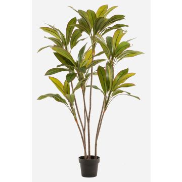 Umělá rostlina Cordyline MEIKE, umělé stonky, dekorativní květináč, zelená, 160cm Umělá rostlina Cordyline MEIKE, umělé stonky, dekorativní květináč, zelená, 160cm