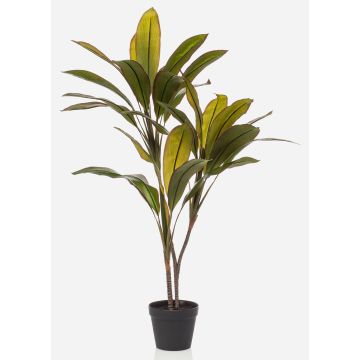 Umělá rostlina Cordyline MEIKE, umělé stonky, dekorativní květináč, zelená, 105cm Umělá rostlina Cordyline MEIKE, umělé stonky, dekorativní květináč, zelená, 105cm