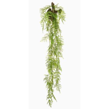 Umělá závěsná rostlina Asparagus Plumosus SHALLON na větvi, zelená, 150cm Umělá závěsná rostlina Asparagus Plumosus SHALLON na větvi, zelená, 150cm