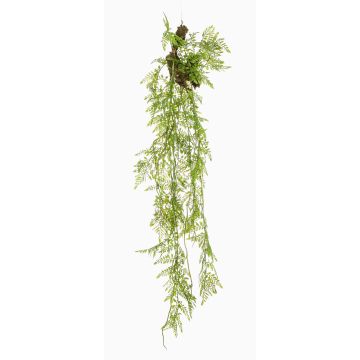 Umělá závěsná rostlina Asparagus Plumosus SHALLON na větvi, zelená, 110cm Umělá závěsná rostlina Asparagus Plumosus SHALLON na větvi, zelená, 110cm