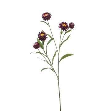 Dekorativní větvička slaměnky SNAVIK, fialová, 70cm