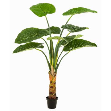 Umělá rostlina Alocasia Calidora NICAS, dekorativní květináč, zelená, 160cm Umělá rostlina Alocasia Calidora NICAS, dekorativní květináč, zelená, 160cm