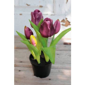 Umělý tulipán CAITLYN v ozdobném květináči, fialová zelená, 25cm, Ø2-6cm Umělý tulipán CAITLYN v ozdobném květináči, fialová zelená, 25cm, Ø2-6cm