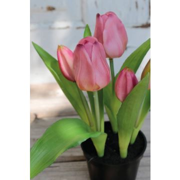 Umělý tulipán CAITLYN v ozdobném květináči, lila zelená, 25cm, Ø2-6cm