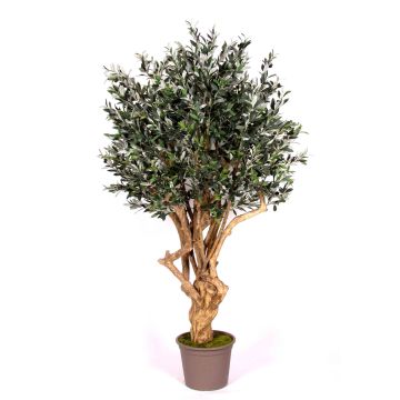 Umělý olivovník COTARIO, skutečný kmen, s plody, 200 cm - vyrobeno v Itálii