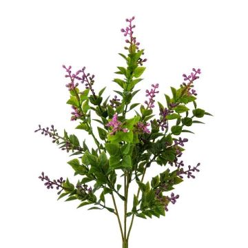 Umělá bylinková řeznická metla LASTAS na tyči, ovoce, zelenofialová, zeleno-lila, 35cm Umělá bylinková řeznická metla LASTAS na tyči, ovoce, zelenofialová, zeleno-lila, 35cm