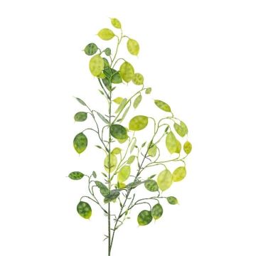 Umělá větev stříbrný list DRULMI, zelená, 75cm Umělá větev stříbrný list DRULMI, zelená, 75cm