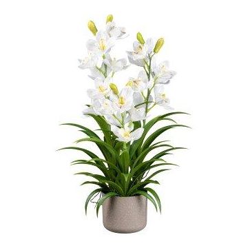 Plastová květina Cymbidium orchidej CANFOL, melaminový květináč, kořeny, bílá, 70cm