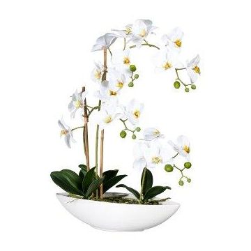 Umělá orchidej Phalaenopsis JELTRON, keramická miska, kořeny, bílá, 60cm
