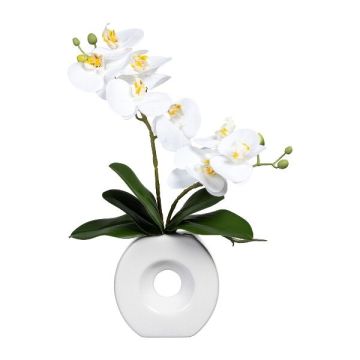Umělá orchidej Phalaenopsis DRELMOR, keramická váza, kořeny, bílá, 35cm