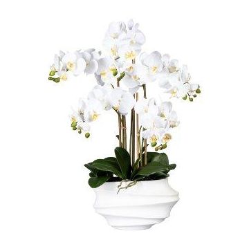 Umělá orchidej Phalaenopsis ZALBROK, dekorativní váza bílá, kořeny, bílá, 75cm