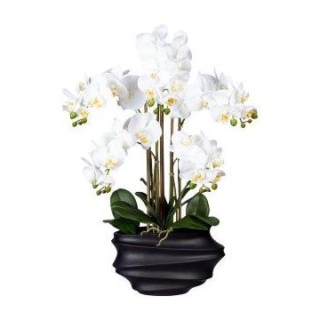 Umělá orchidej Phalaenopsis ZALBROK, dekorativní váza černá, kořeny, bílá, 75cm