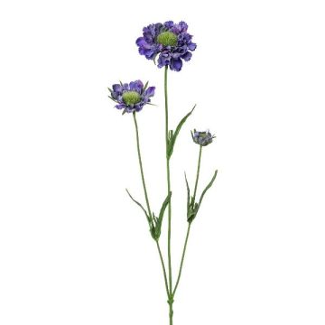 Dekorativní větvička Scabiosa ATLENTO, lila, 65cm Dekorativní větvička Scabiosa ATLENTO, lila, 65cm