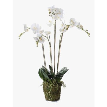 Umělá orchidej phalaenopsis PABLA, v mechu, bílá, 90cm