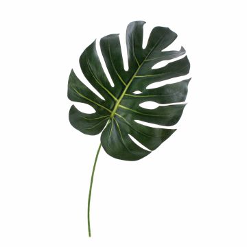Umělý list filodendron monstera deliciosa UMBERTO, 55cm