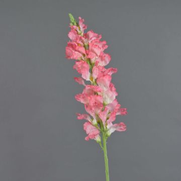 Umělá květina snapdragon FOLET, růžová, 100cm Umělá květina snapdragon FOLET, růžová, 100cm
