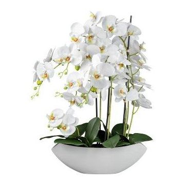 Umělá květina orchidej Phalaenopsis XELAV, keramický květináč, bílá, 65cm