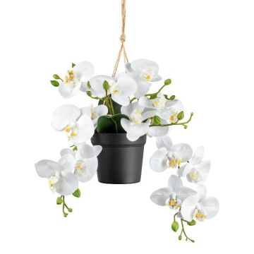 Umělá orchidej Phalaenopsis závěsný koš LARSAY, dekorativní květináč, bílá, 25cm