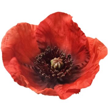 Umělý mák FASDIN, červený, 75cm Umělý mák FASDIN, červený, 75cm