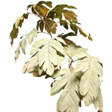 Dekorativní větvička javoru TUNDAKY, zelená, 100cm