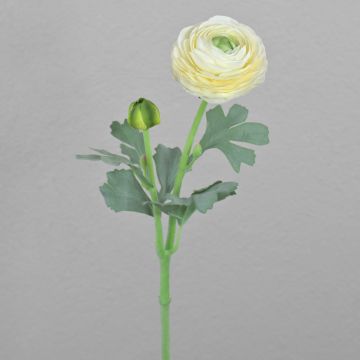 Umělý ranunculus CADISS, krémový, 40cm Umělý ranunculus CADISS, krémový, 40cm