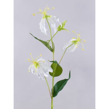 Umělá květina Gloriosa MAFIRNA, bílo-zelená, 80cm Umělá květina Gloriosa MAFIRNA, bílo-zelená, 80cm