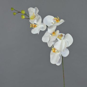 Umělá větvička orchideje phalaenopsis LANUA, krémová, 75cm