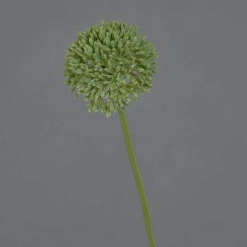 Umělá květina allium BAILIN, zelená, 40cm Umělá květina allium BAILIN, zelená, 40cm