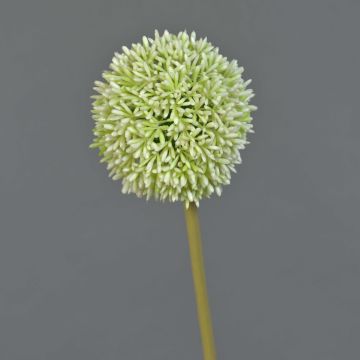 Umělá květina allium BAILIN, krémově zelená, 65cm Umělá květina allium BAILIN, krémově zelená, 65cm