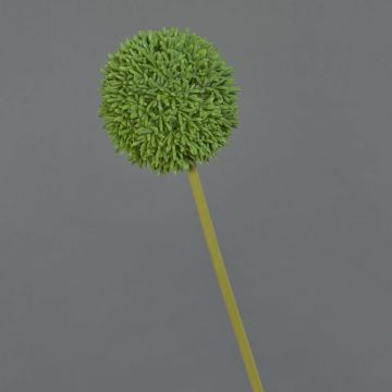 Umělá květina allium BAILIN, zelená, 65cm Umělá květina allium BAILIN, zelená, 65cm