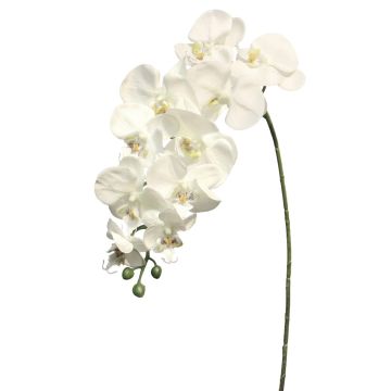 Dekorační větev orchideje phalaenopsis JUANRU, bílá, 100cm Dekorační větev orchideje phalaenopsis JUANRU, bílá, 100cm