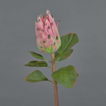 Umělá protea SHUHUI, růžová, 60cm Umělá protea SHUHUI, růžová, 60cm