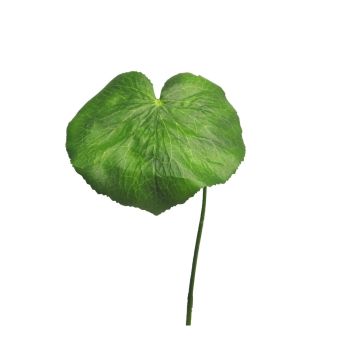 Umělá galax baňkovitá SHUJIA, 12 kusů, zelená, 20cm