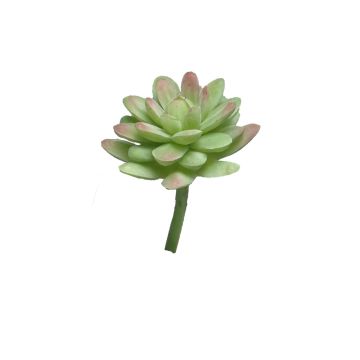 Dekorační sedum rubrotinctum AOLUO na zápichu, zeleno-červená, 16cm