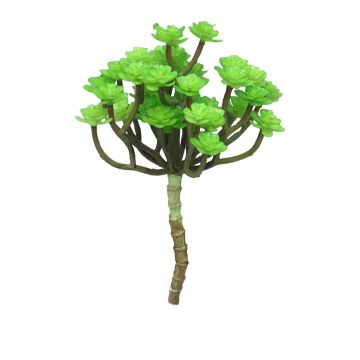 Dekorativní echeveria macdougallii ULUO na zápichu, zelená, 19cm