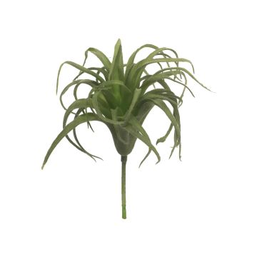 Umělý sukulent tillandsia stricta YUXIAN na zápichu, zelená, 17cm