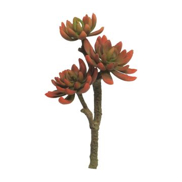 Umělá echeveria elegans FEIFANG na zápichu, červeno-zelená, 30cm