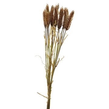 Umělý svazek pšenice YANGMEI, broskev, 55cm Umělý svazek pšenice YANGMEI, broskev, 55cm