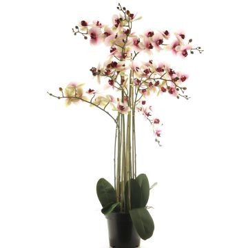 Umělá květina orchideje phalaenopsis CHENXU, růžovo-krémová, 110cm