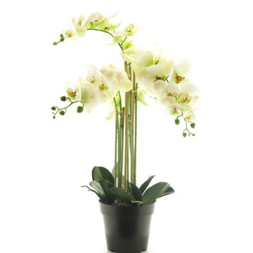 Umělá květina orchideje phalaenopsis CHENXU, bílá, 60cm