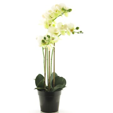 Umělá květina orchideje phalaenopsis CHENXU, bílá, 55cm